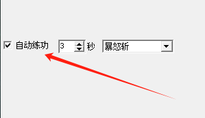 自动练功功能截图