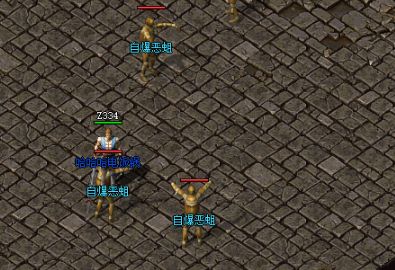 <strong>微变私服选新区有门道：zhaosf活跃曲线这样看，开荒时机一</strong>